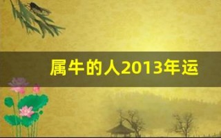 属牛的人2013年运程大全及破解(2013年属牛的虚岁多大)