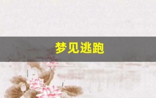 梦见逃跑(梦见逃跑成功)