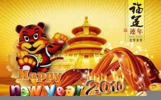 2010年虎年