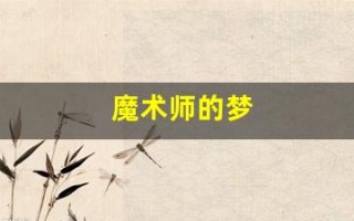 魔术师的梦(魔术师的梦幻之旅中文版)