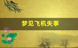 梦见飞机失事(梦见飞机失事自己逃过一劫)