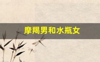 摩羯男和水瓶女(摩羯男和水瓶女在一起合适吗)