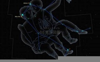 双子座(双子座男生)