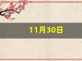 11月30日(11月30日是什么星座)