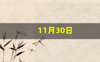 11月30日(11月30日是什么星座)