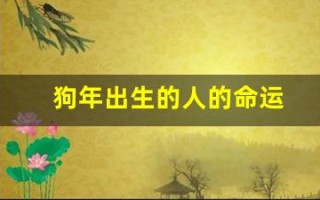 狗年出生的人的命运(狗年出生的人的命运如何)