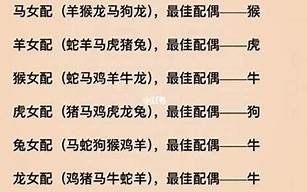 十二生肖配对算命(十二生肖配对查询)