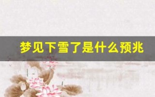 梦见下雪了是什么预兆(做生意的女人梦见下雪了是什么预兆)