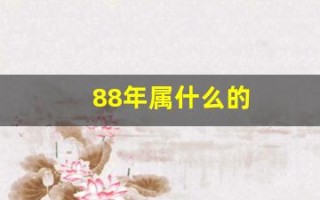 88年属什么的(98年生人属相是属什么的)
