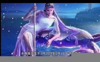 水瓶座-性格分析(水瓶座性格分析图)