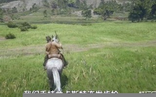 射手(射手座是风象还是火象)