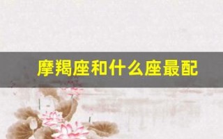 摩羯座和什么座最配(天蝎座和什么座最配)