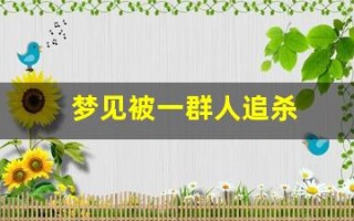梦见被一群人追杀(做梦被一群人追着)