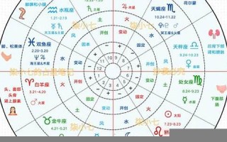 星座分析(星座分析师)