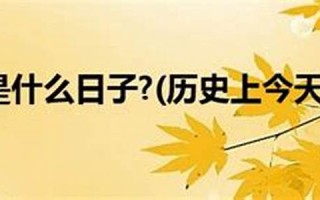 11月5日是什么日子(11月5日是什么日子美国)