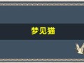 梦见猫(赶都赶不走)