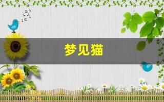 梦见猫(赶都赶不走)