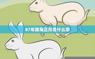 87年属兔2023年本命年运势(87年属兔2023年本命年运势每月运程)