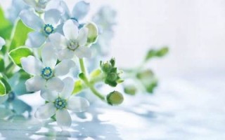 4月7日(4月7日是什么星座)