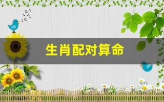 生肖配对算命(生肖配对查询 男女 婚姻)