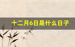 十二月6日是什么日子(十二月六日是什么)