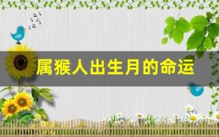 属猴人出生月的命运(属猴人出生月命运卜易居)