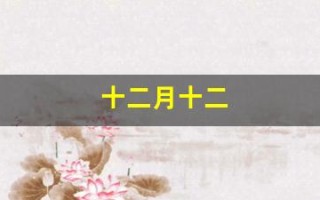 十二月十二(十二月十二日是什么星座)