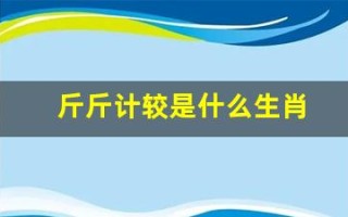 斤斤计较是什么生肖(斤斤计较打一肖)