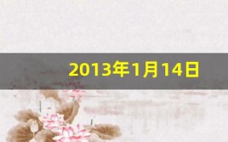 2013年1月14日(2013年1月14日多少岁)