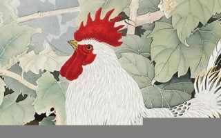 属鸡2023年的运势及运程(属鸡2023年的运势及运程2005男)