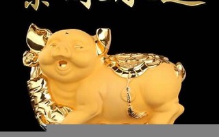 属猪(属猪三合和三冲属相)