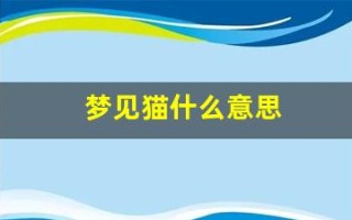 梦见猫什么意思(女人梦见猫什么意思)