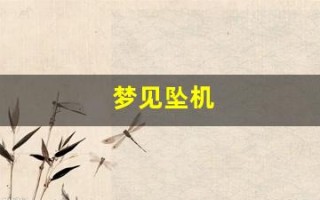 梦见坠机(梦见坠机是什么预兆)
