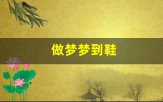 做梦梦到鞋(做梦梦到鞋丢了是什么征兆)