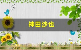 神田沙也(神田沙也加的生平事迹)