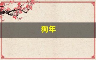 狗年(狗年今年多少岁)