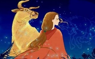 魔羯座女人(摩羯座女人喜欢怎样的男人)