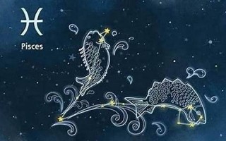 双鱼女性格(双鱼座最不该爱上的三个星座)