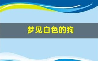 梦见白色的狗(梦见白色的狗什么意思)