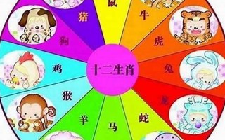 1966年属什么生肖(1964年属什么生肖)